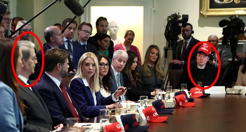 Insane moment Elon Musk 'SHOVED' Trump's treasury secretary