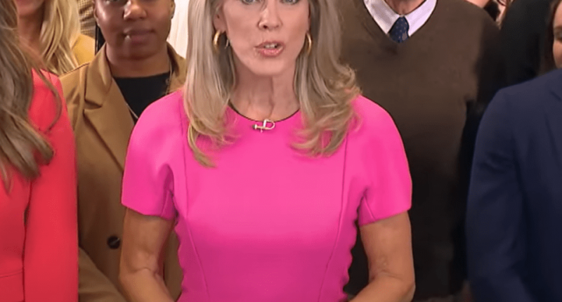 Woman in pink dress speaking to a crowd.