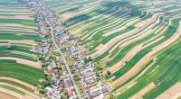 Aerial view of Suloszowa village in Poland, surrounded by agricultural fields.