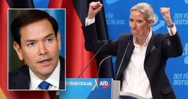 Intelligence agency classifies country's popular Alternative for Germany party as 'extremist'