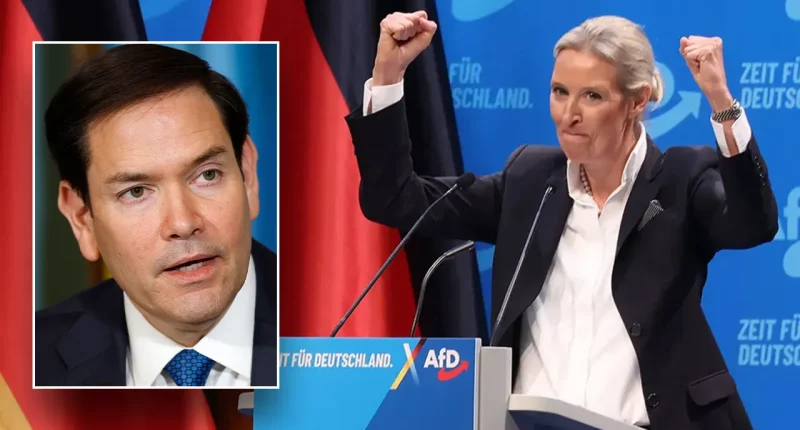Intelligence agency classifies country's popular Alternative for Germany party as 'extremist'