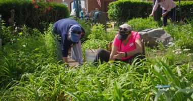 Iris Garden Club talks about preserving garden beauty at 5th Street Marina