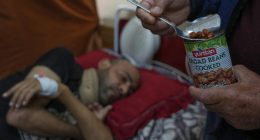 Israel blockade means hospitals in Gaza have no food for patients