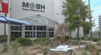 Jacksonville's MOSH to close in September to focus on new location