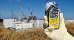 Japan plans to reuse Fukushima soil in prime minister's flower beds