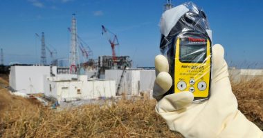 Japan plans to reuse Fukushima soil in prime minister's flower beds