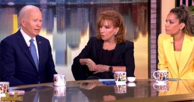 Joe Biden reemerges to prove . . . Dems were right to dump him