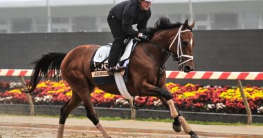 Journalism comes from behind to win the Preakness 2 weeks after finishing 2nd in the Kentucky Derby