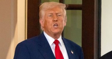 Judge finds Trump invocation of Alien Enemies Act 'unlawful'