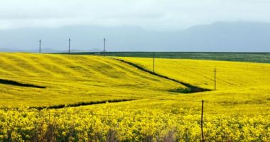Jump in value of farmland  beats all other Australian property: report
