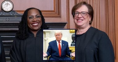 Kagan, Jackson hammer DOJ in birthright citizenship case