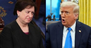 Kagan rips Trump, SCOTUS on leader removals in fiery dissent