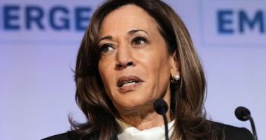 Former Vice President Kamala Harris delivers the keynote speech at the Emerge 20th Anniversary Gala in San Francisco.