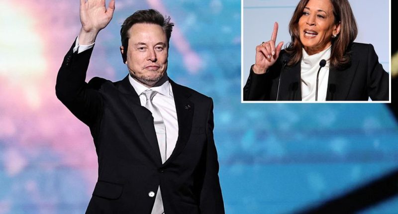 Kamala Harris takes swipe at Elon Musk and Trump admin: 'Remember the 1930s'
