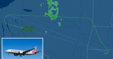 Kansas man accused of throwing, dragging American Airlines flight attendant, prompting in-air emergency