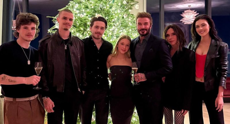 Key sign Nicola Peltz was 'distancing herself' from Beckhams revealed