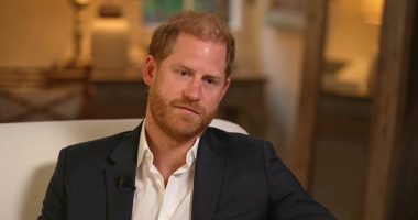 LIZ JONES: Harry's interview left me in tears. He's broken