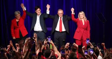 Labor wins election on disastrous night for Dutton, Coalition