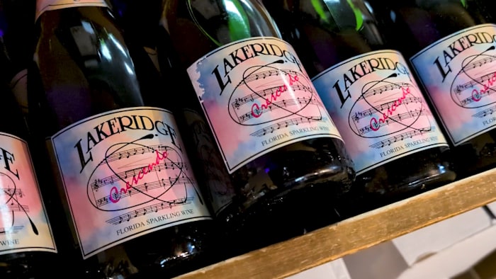Lakeridge Winery & Vineyards in Clermont: From family roots to award-winning wines