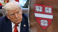 Legal expert backs Trump admin's crackdown on Harvard: 'Accountability must be enforced'