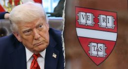 Legal expert backs Trump admin's crackdown on Harvard: 'Accountability must be enforced'