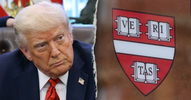 Legal expert backs Trump admin's crackdown on Harvard: 'Accountability must be enforced'