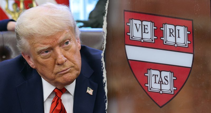 Legal expert backs Trump admin's crackdown on Harvard: 'Accountability must be enforced'
