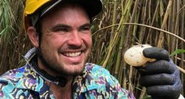 Chris 'Willow' Wilson was collecting crocodile eggs when the chopper crashed.