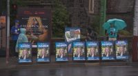 Liberals win council clash over voting centre signs