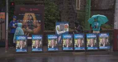 Liberals win council clash over voting centre signs