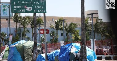 Los Angeles business owner blasts 'Baby Shark' on repeat to ward off homeless encampments