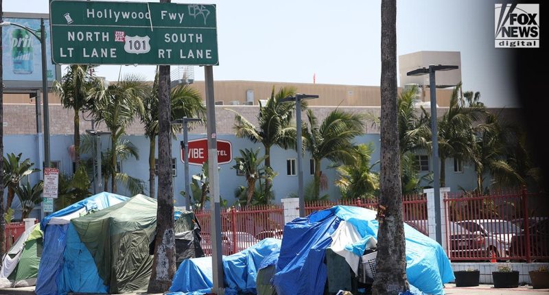 Los Angeles business owner blasts 'Baby Shark' on repeat to ward off homeless encampments