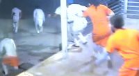 Inmates escaped from a New Orleans jail around 1am.