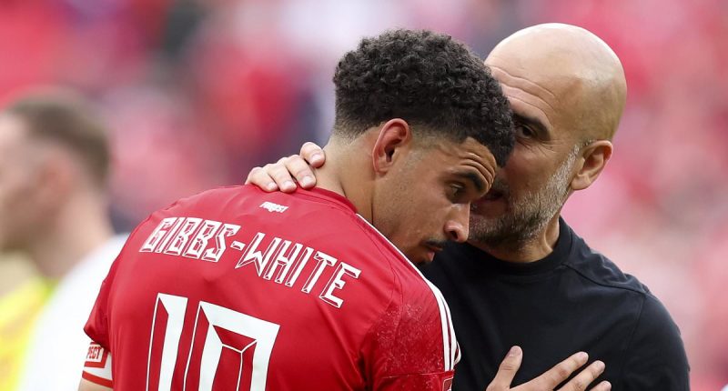 Man City transfer news: The six targets on their list, what's happening to Jack Grealish and why NINE stars could leave in mass exodus