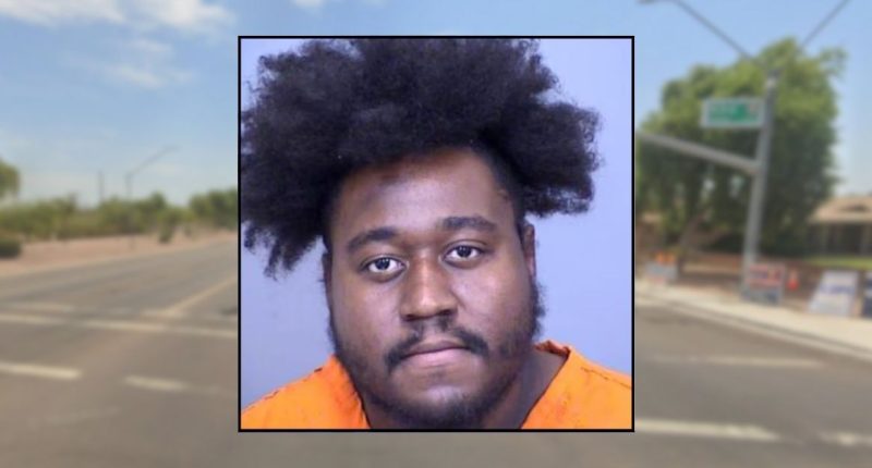 Man admits to stabbing woman to death with metal pen: Police
