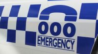police generic
