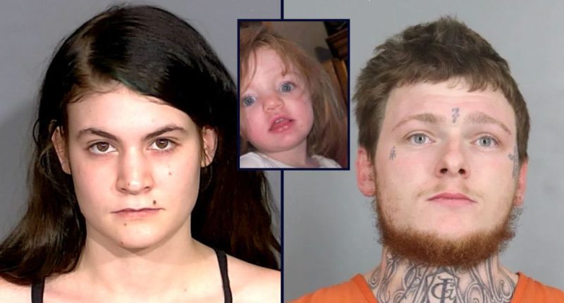 Man avoids trial over his role in Oaklee Snow death