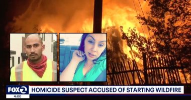 Man burning body of woman from dating app started wildfire