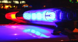 Man dies after crashing into tree in Marion County, FHP says