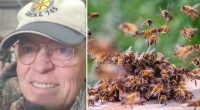 Man dies in bee attack despite frantic escape attempt that had him drive through neighbor's yard