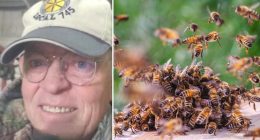 Man dies in bee attack despite frantic escape attempt that had him drive through neighbor's yard