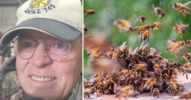 Man dies in bee attack despite frantic escape attempt that had him drive through neighbor's yard
