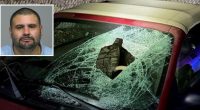 Man killed 90-year-old pedestrian in hit-and-run: Police