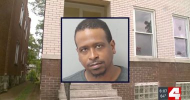 Man killed mom of child, googled 'murder defenses': Police