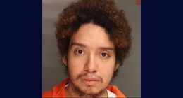 Man murdered his grandma, set body on fire over flea meds