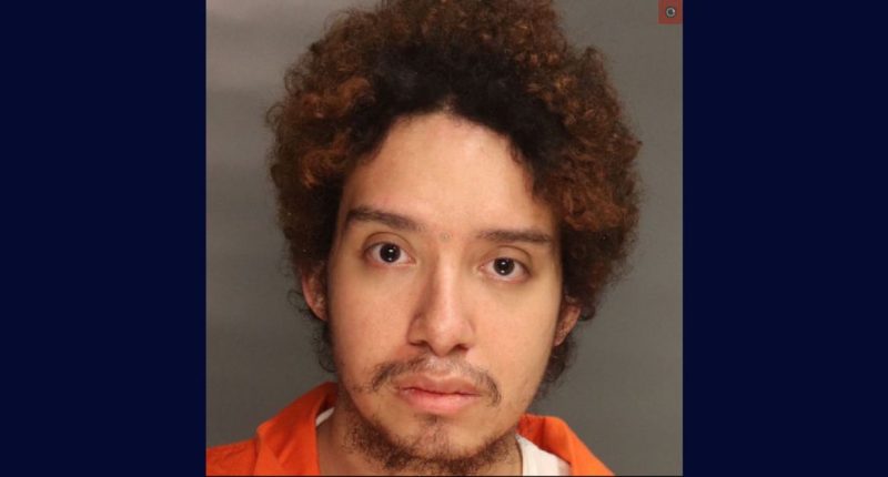 Man murdered his grandma, set body on fire over flea meds