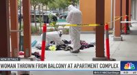 Man throws girlfriend from balcony, killing her: Cops