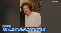 Maria Ochoa, grandma killed in Garfield Ridge, Chicago car crash near Laramie and Archer, remembered as 'caring, loving woman'