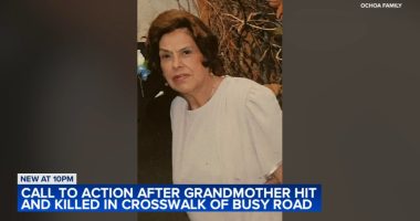 Maria Ochoa, grandma killed in Garfield Ridge, Chicago car crash near Laramie and Archer, remembered as 'caring, loving woman'