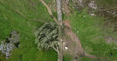 Men guilty of felling much-loved British 'Sycamore Gap' tree